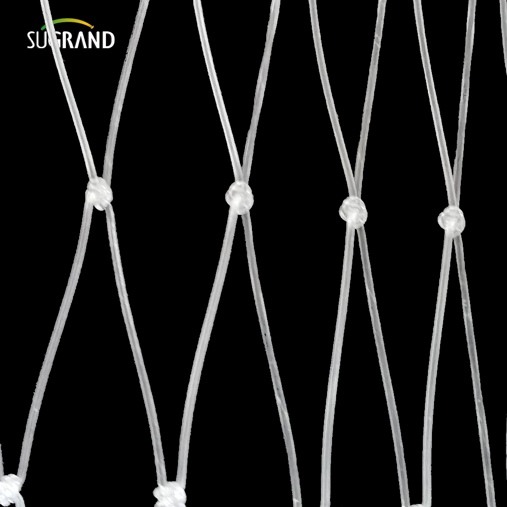 15 * 15 cm Net de poisson en nylon transparent pour le marché du Pérou