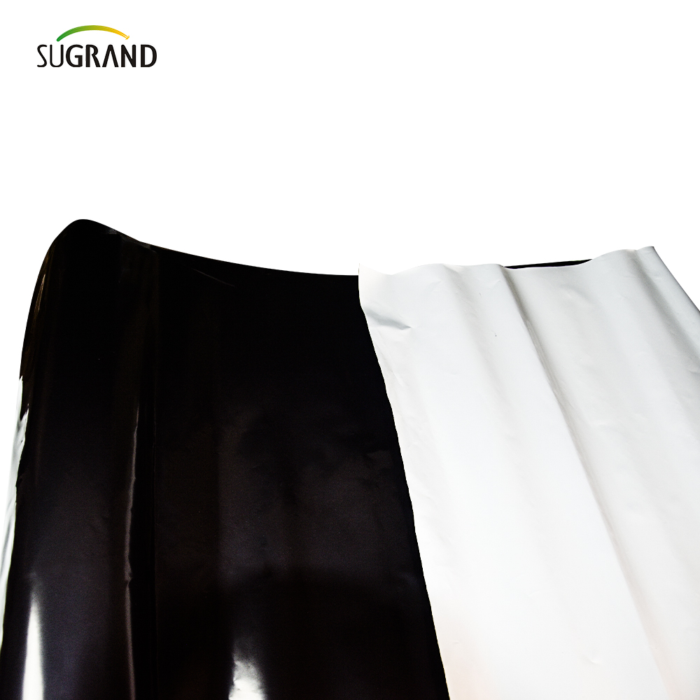 PE Garden Weed Mat agriculture Film de paillis en plastique