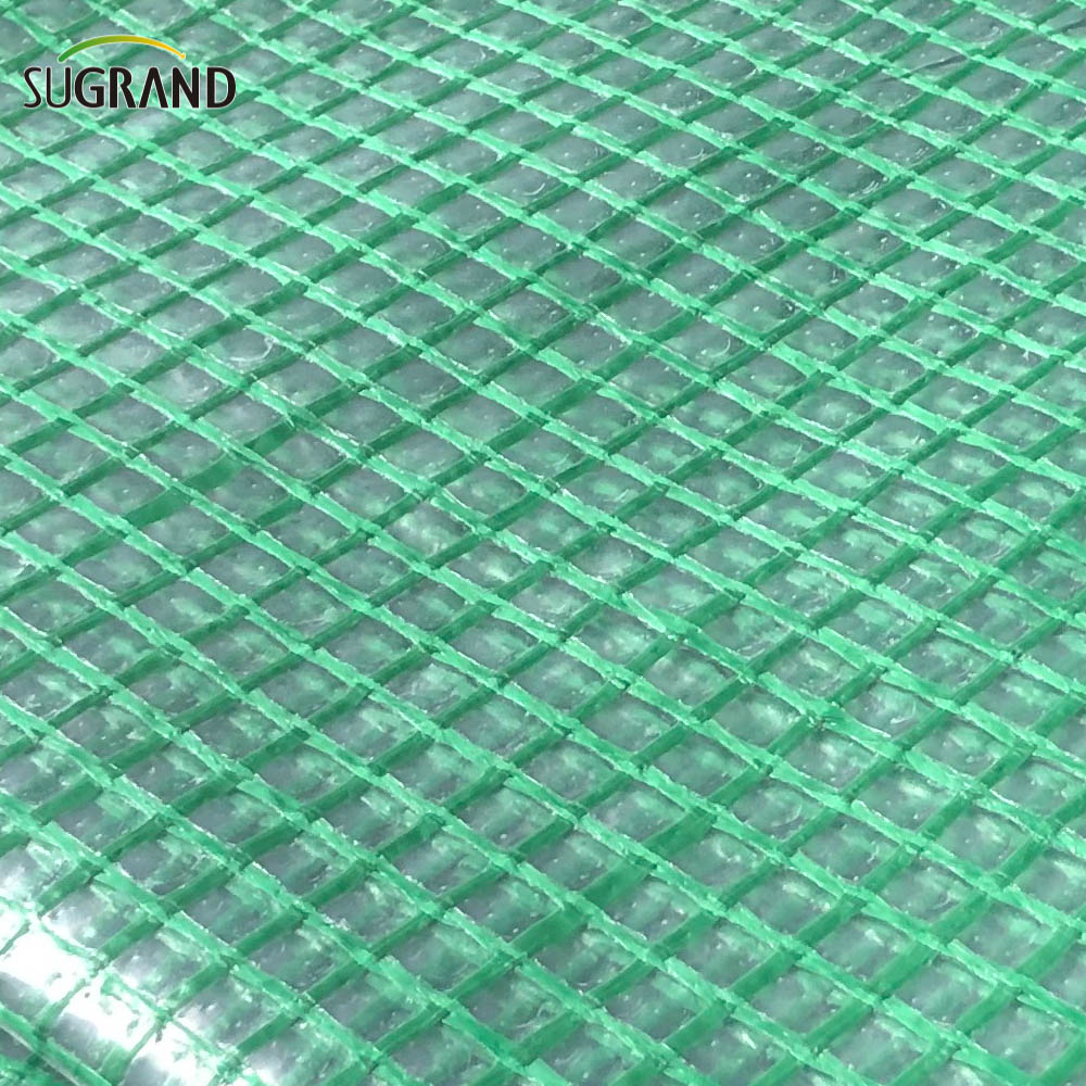 Construction Tarpaulin Sécurité Mesh net Mesh PE Tarpaulin