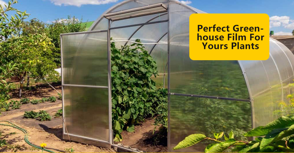 Film de Greenhouse PE