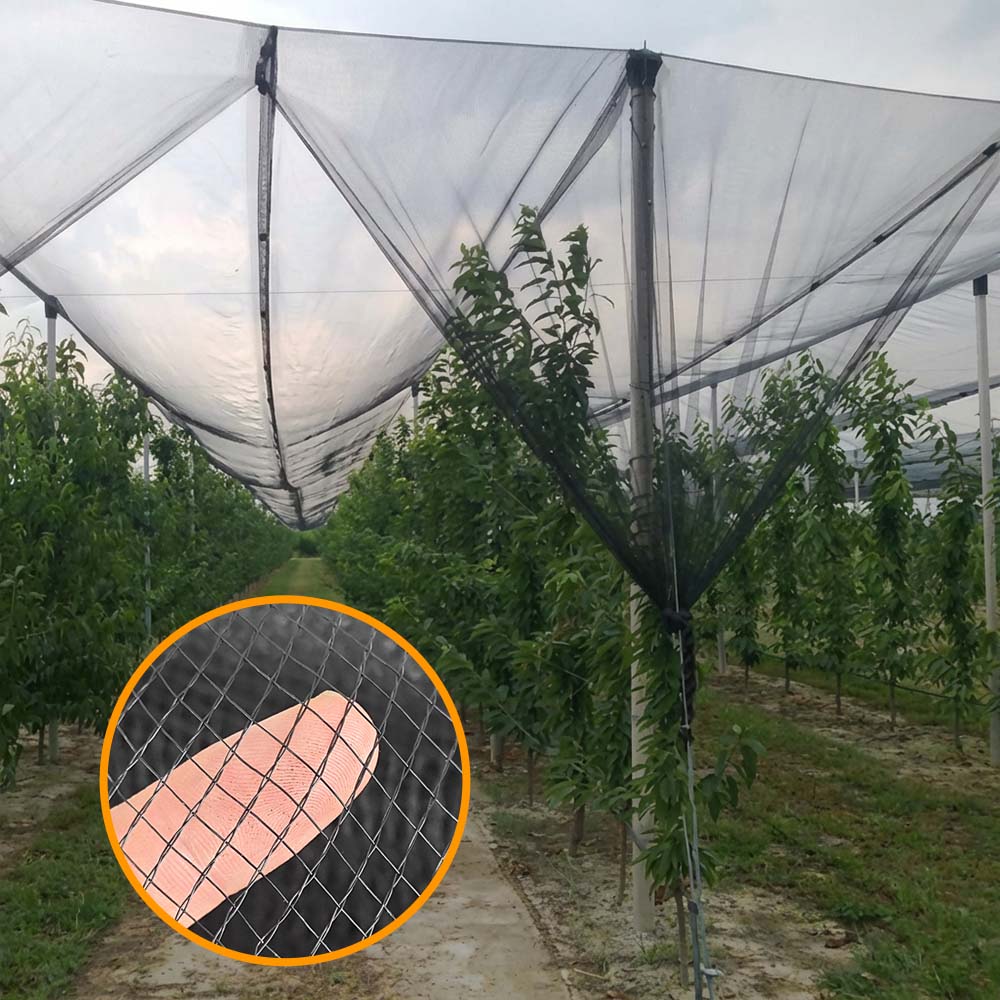 SUGRAND Filet anti-grêle pour fermes vergers