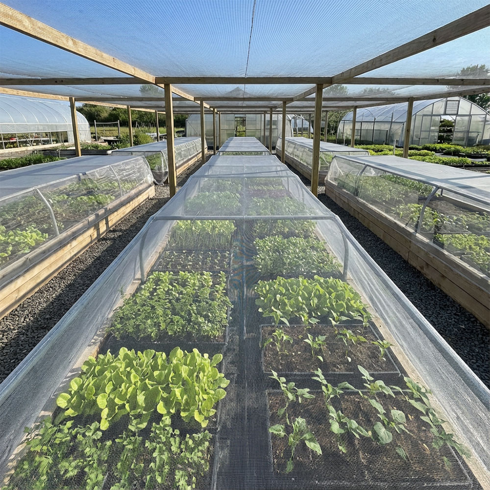 Comment choisir la bonne moustiquaire pour les légumes ?