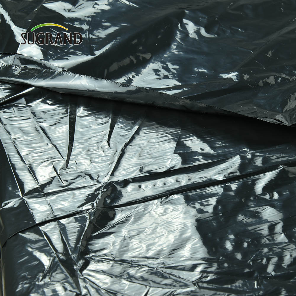 Prix ​​d'usine bon marché Black Plastic Brech Biodégradable Mulch Film For Agricultural