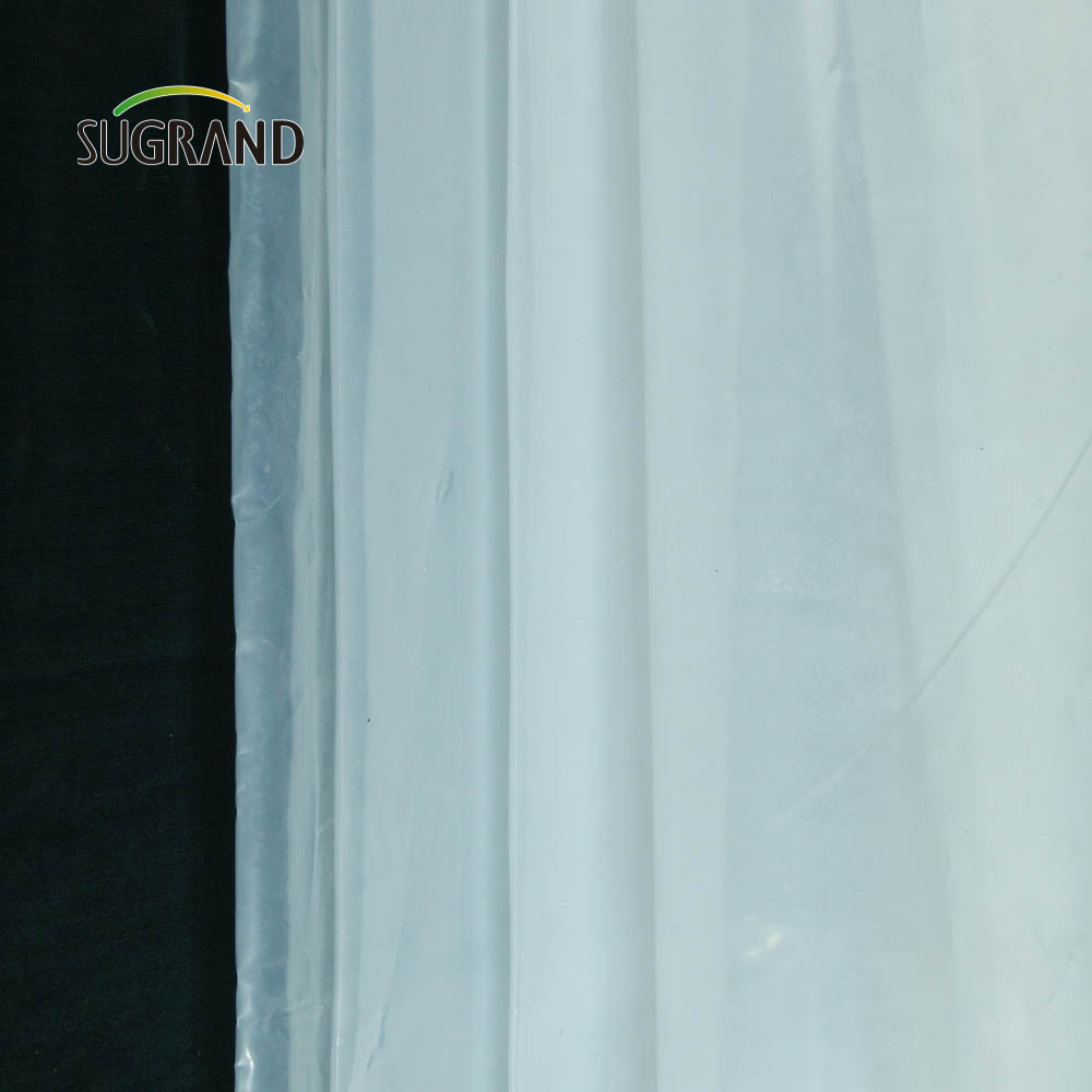 Factory Direct 30Microns - 250microns Film UV Greenhouse Agriculture Greenhouse Film 