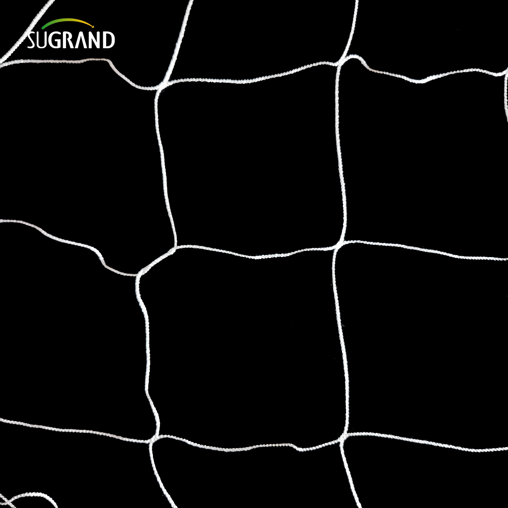 En gros de la plante en nylon blanc de soutien en treillis de treillis 5x15 pieds jardin 6 'Mesh pour l'escalade