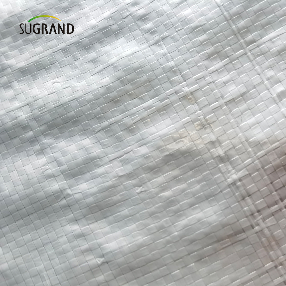 Feuille de bâche UV en plastique blanc direct d'usine PET UV