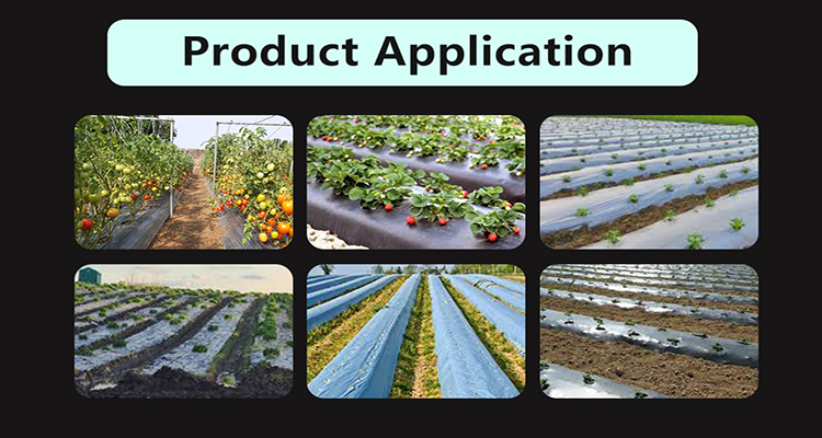 film de paillis agricole