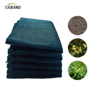 Six aiguilles de ruban noir et vert net