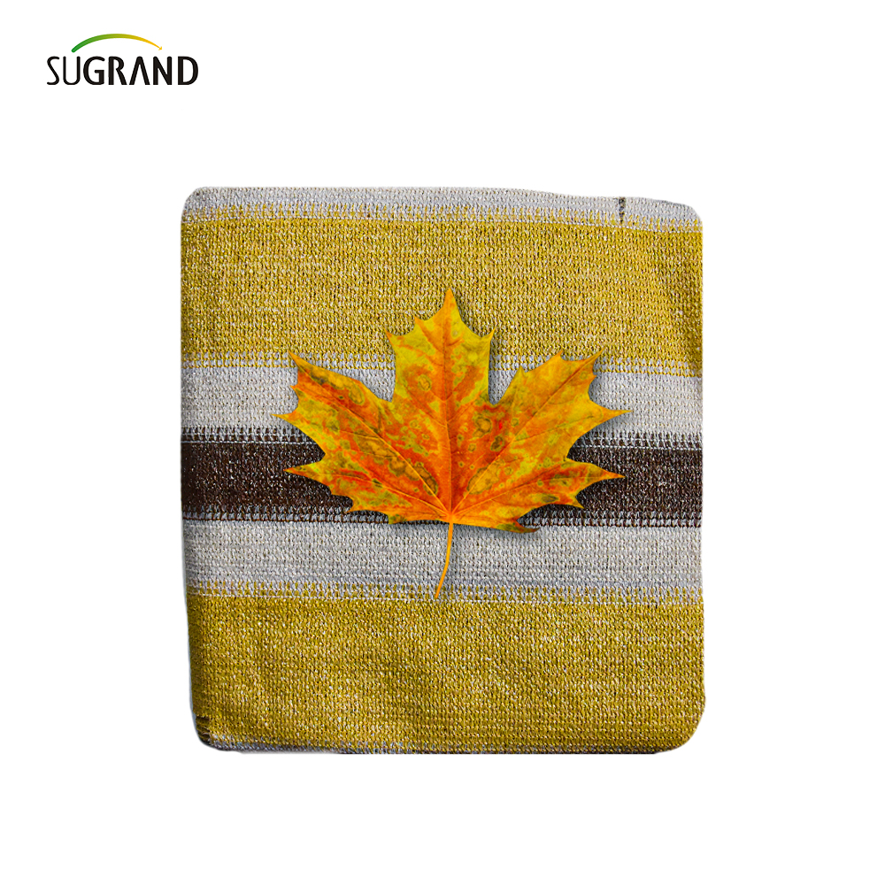 Épaississement 6 aiguilles du fil plat balcon nuage net intimité nette nette clôture net