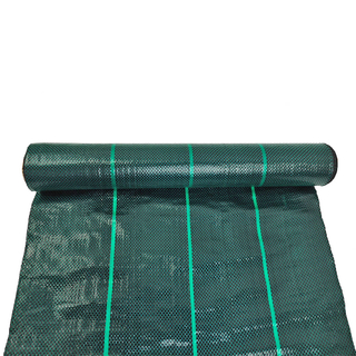 Usine de tissu de paysage de couverture de sol vert foncé