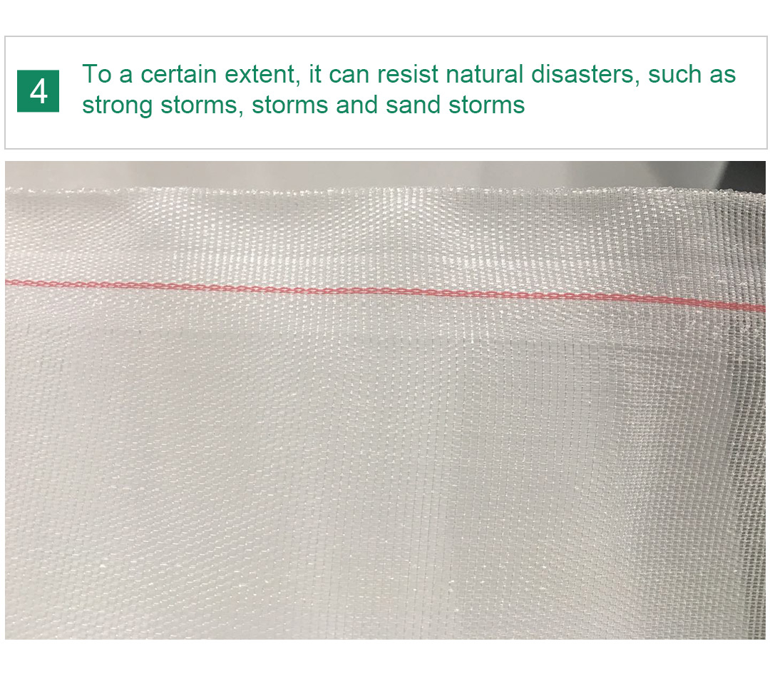 filet &agrave; insectes8