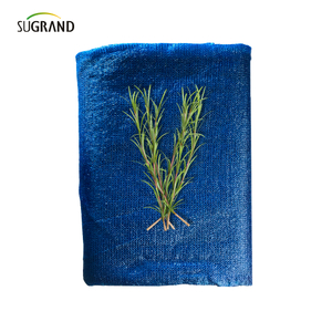 Six aiguilles mono + ruban Blue Shade Net