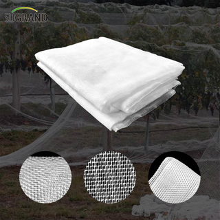 80gsm White Greenhouse anti-insecte en Malaisie