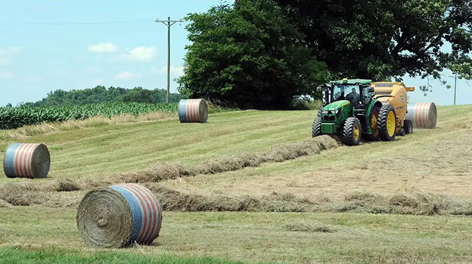 filet pour balles de palettes