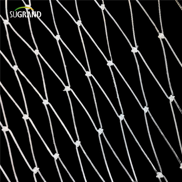 Net de poisson en nylon (5) 