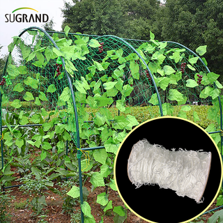 Plantes d'escalade de filet de réseau blanc en nylon soutenant le filet