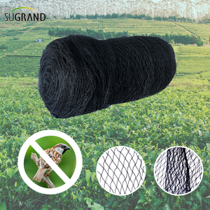 Black 17mx17m Pigeon Net anti-filet d'oiseau pour les arbres fruitiers
