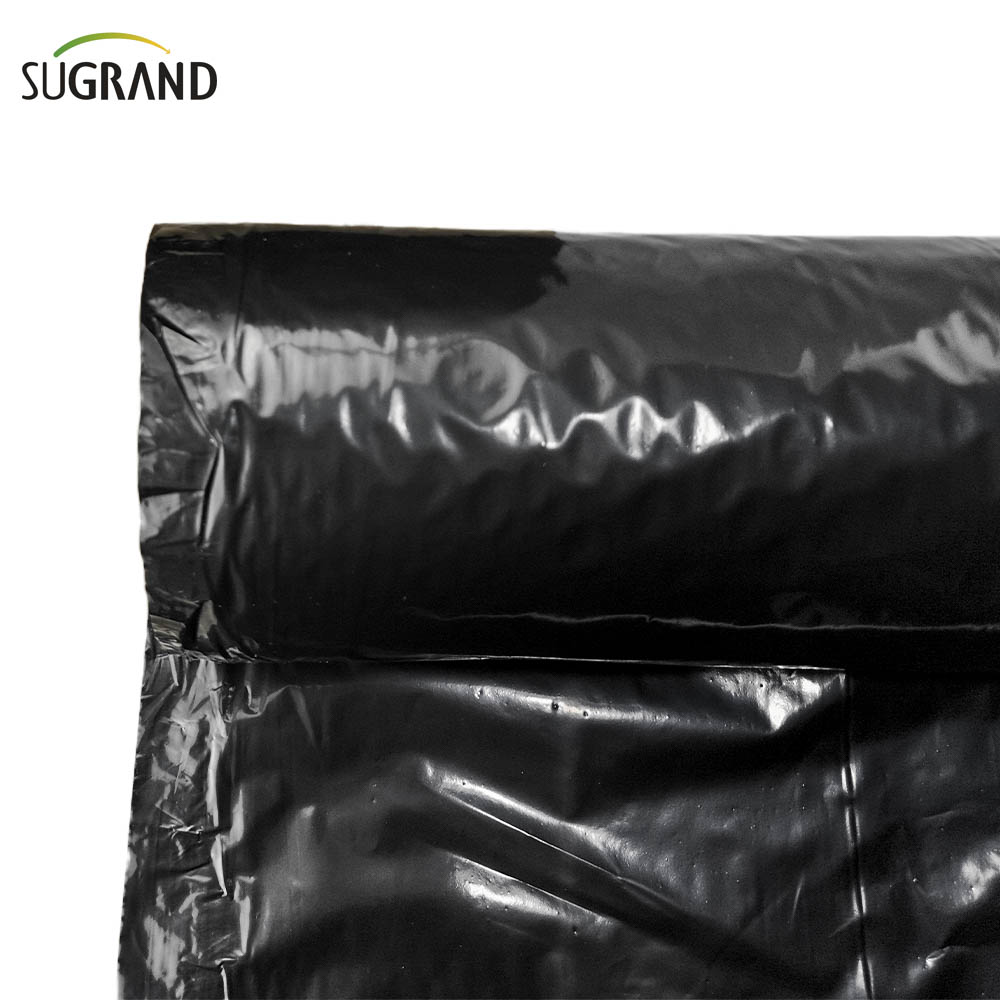 Film de paillis biodégradable Biotelo Paillage Agriplast Paillis Agri