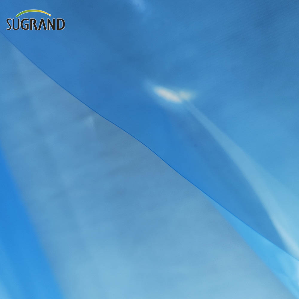  Film en polyéthylène en polyéthylène film en plastique en serre bleu 