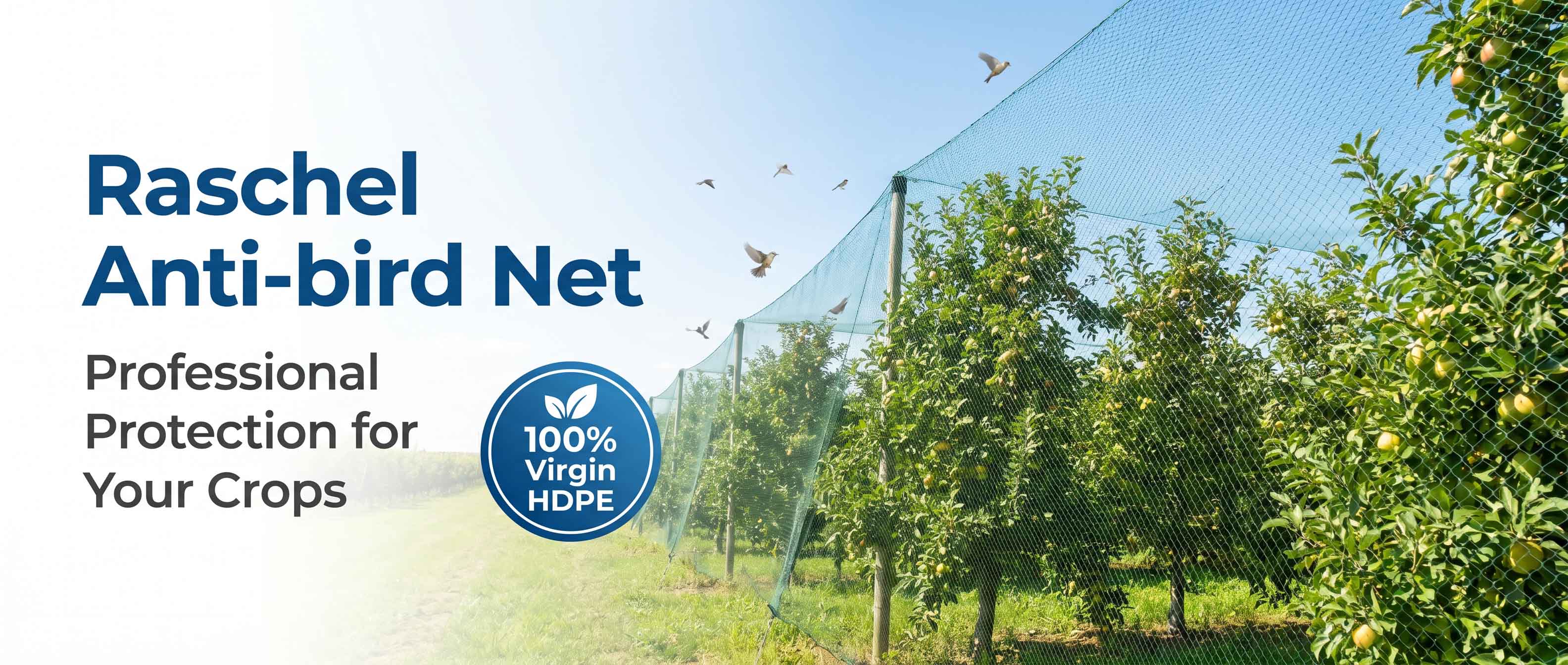 filet anti-oiseaux.jpg