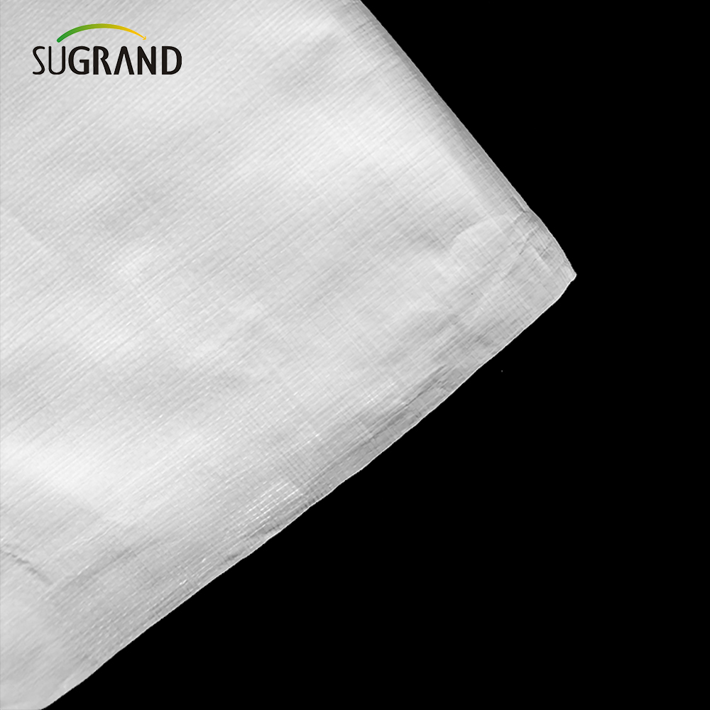 PE White Tarpaulin dans Roll for Agriculture Industrial Outdoor Covers