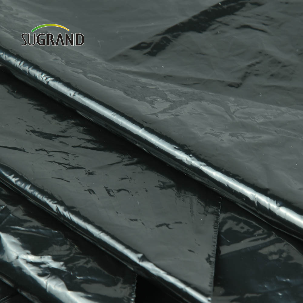Prix ​​d'usine bon marché Black Plastic Brech Biodégradable Mulch Film For Agricultural