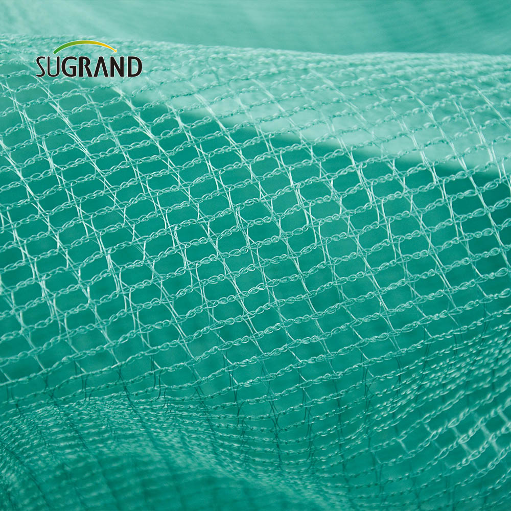 Net de collecte d'olive 5x10m pour la récolte de fruits Net Olive en Italie