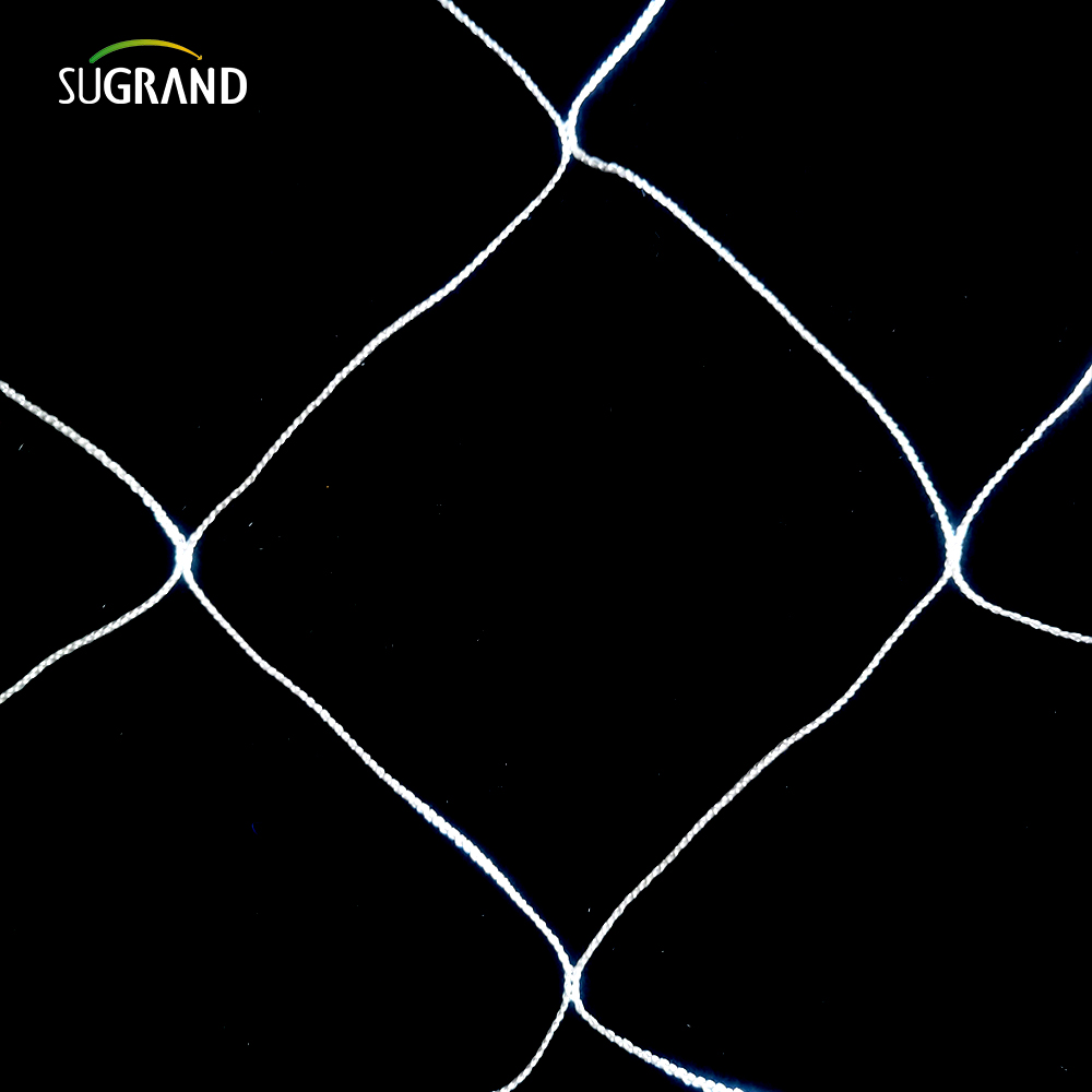 En gros de la plante en nylon blanc de soutien en treillis de treillis 5x15 pieds jardin 6 'Mesh pour l'escalade