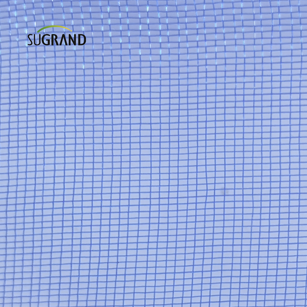 Nigeria Blue Screen Insect Net Mesh pour les fenêtres ou la porte 