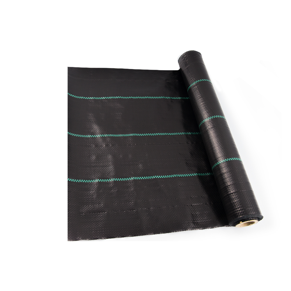 COUVERTURE DE CONTRÔLE DE CONTRÔLE DE LA VERIE 100G / M2 de haute qualité pour la serre