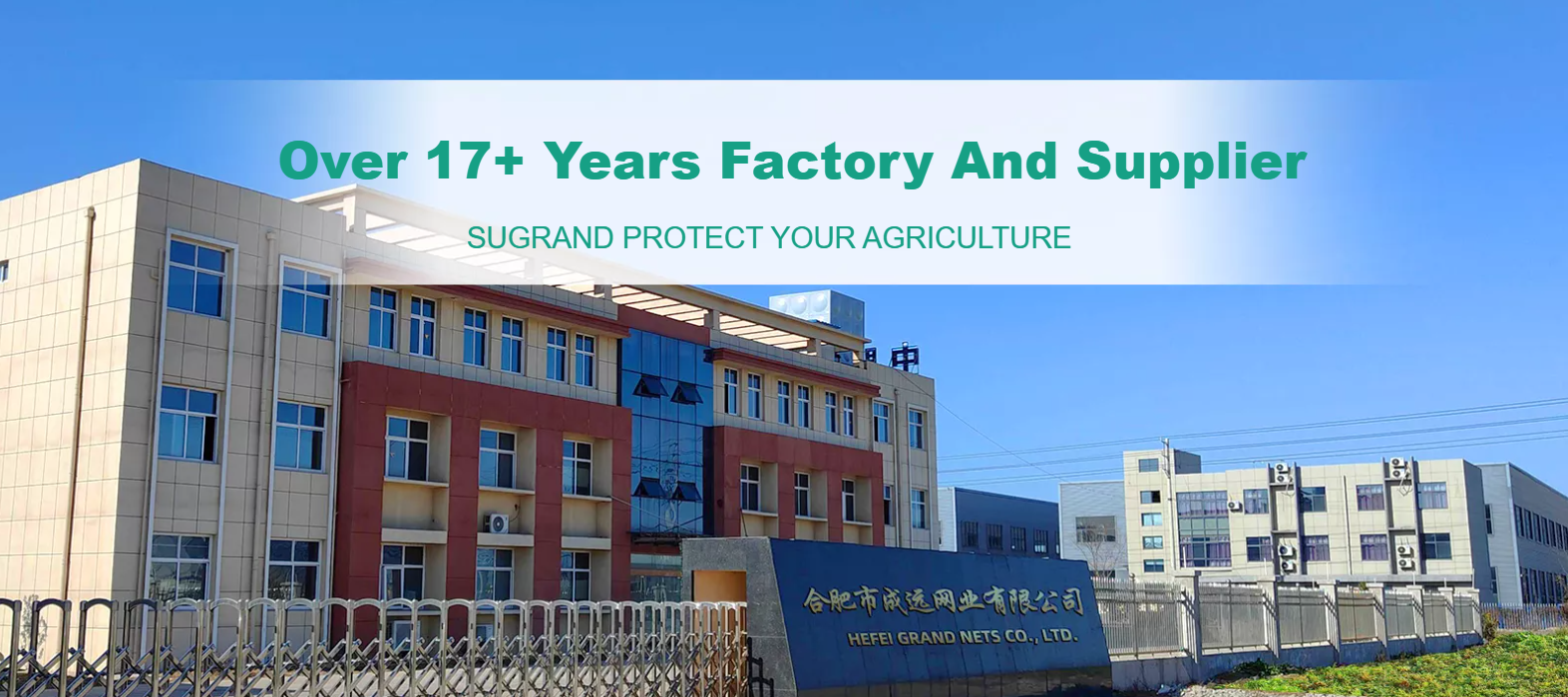 Quelle couleur de couvre-sol fonctionne le mieux dans les jardins?