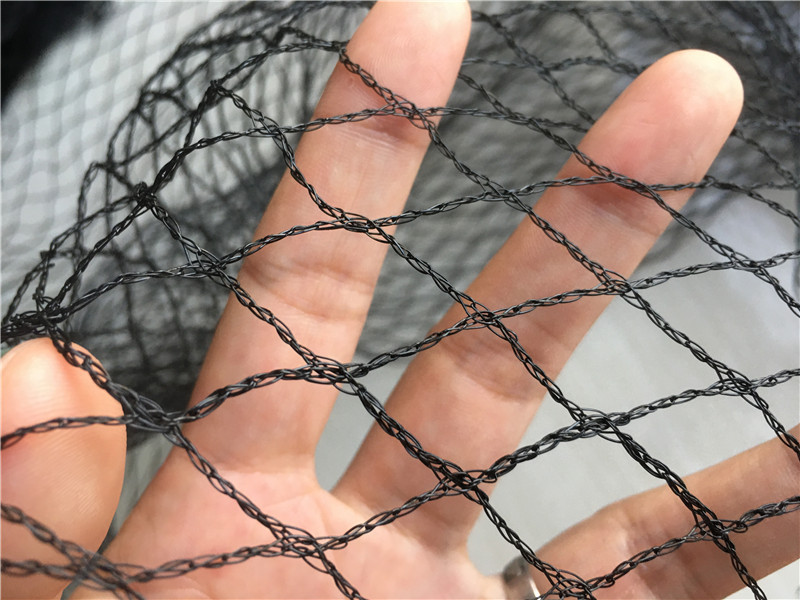 Nettes de brume d'oiseau pour attraper les oiseaux