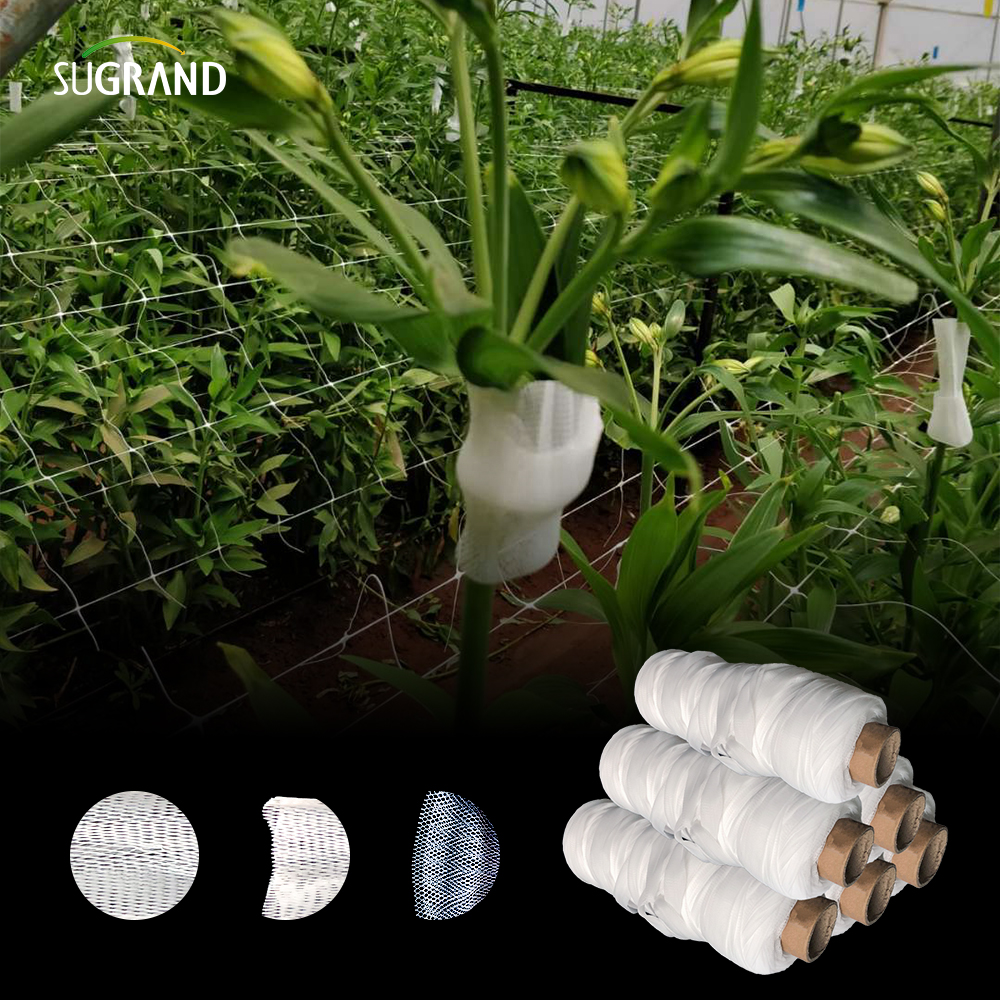 LDPE White Plastic Rose Rose Bud Sleeve Protection Net