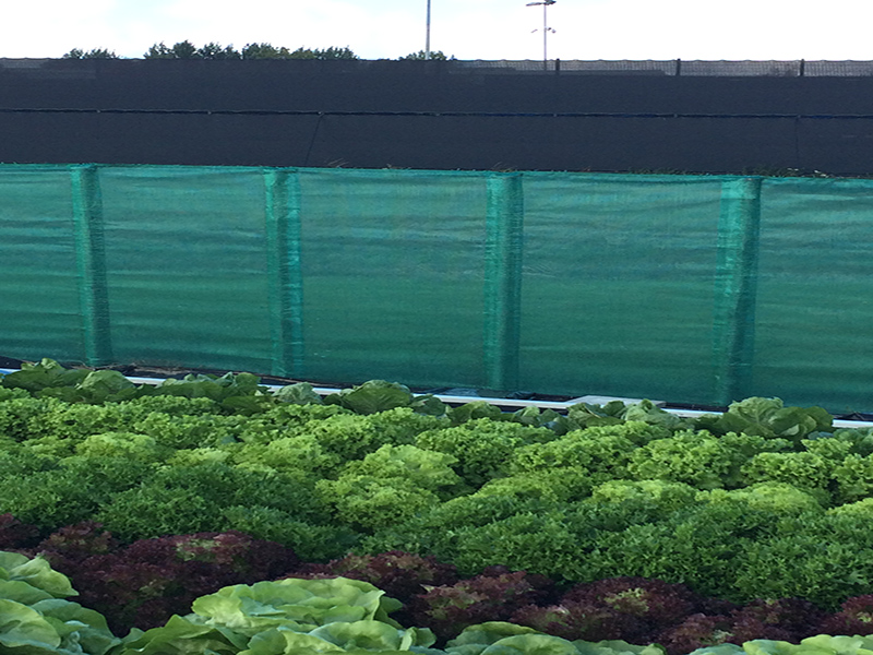 Utilisations innovantes du filet de vent dans les zones résidentielles