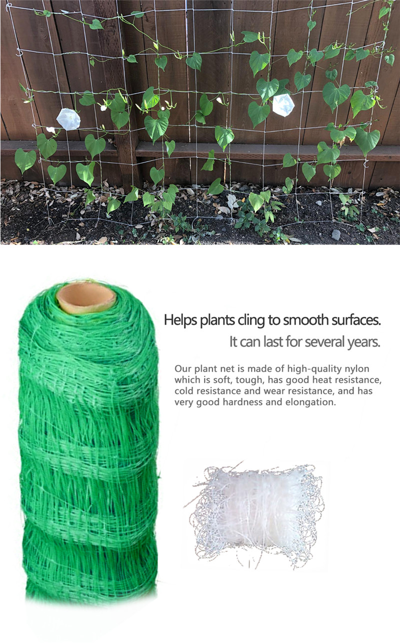 filet de soutien des plantes 6