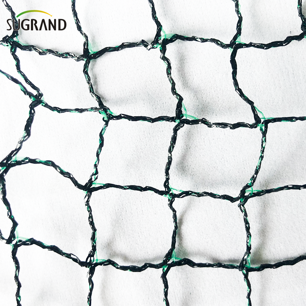 Filet d'oiseau pour arbres fruitiers