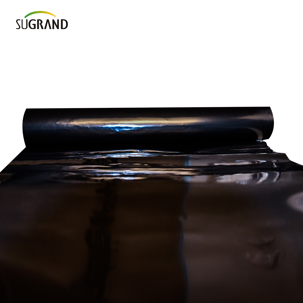 PE Garden Weed Mat agriculture Film de paillis en plastique