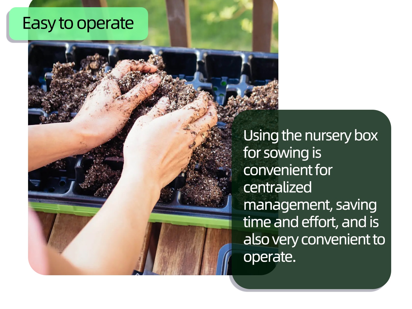 Pot de p&eacute;pini&egrave;re noir