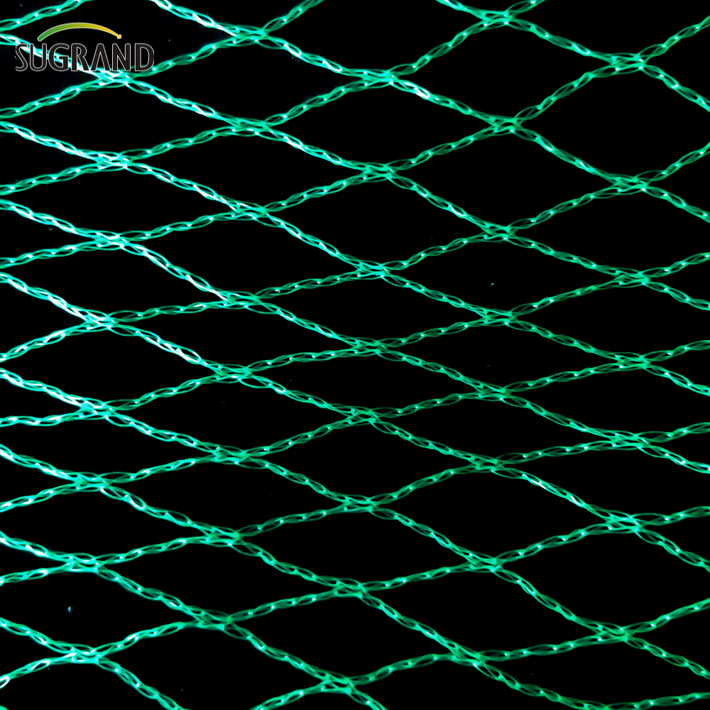 Green Bird Net 4x30m Bird Net pour les fournisseurs du marché en Thaïlande