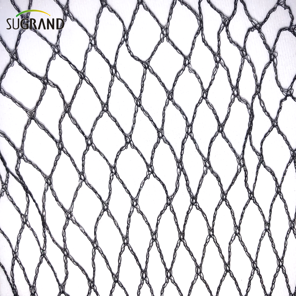 7gsm Green Anti-Bird Netting Utilisation pour les plantes