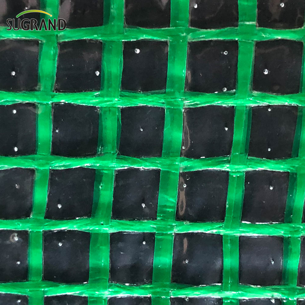 Construction Tarpaulin Sécurité Mesh net Mesh PE Tarpaulin