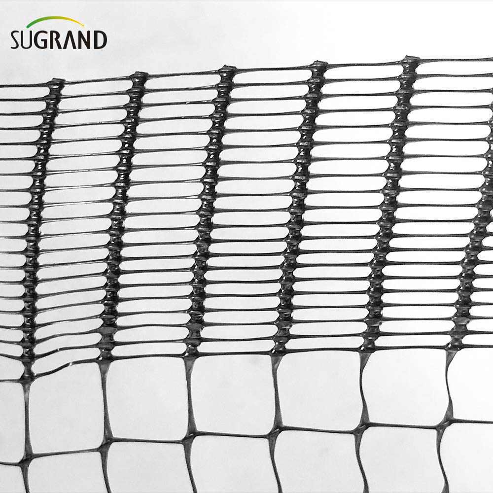 Black Bird Mist Nets Extruded Anti-Bird Net Fournisseurs
