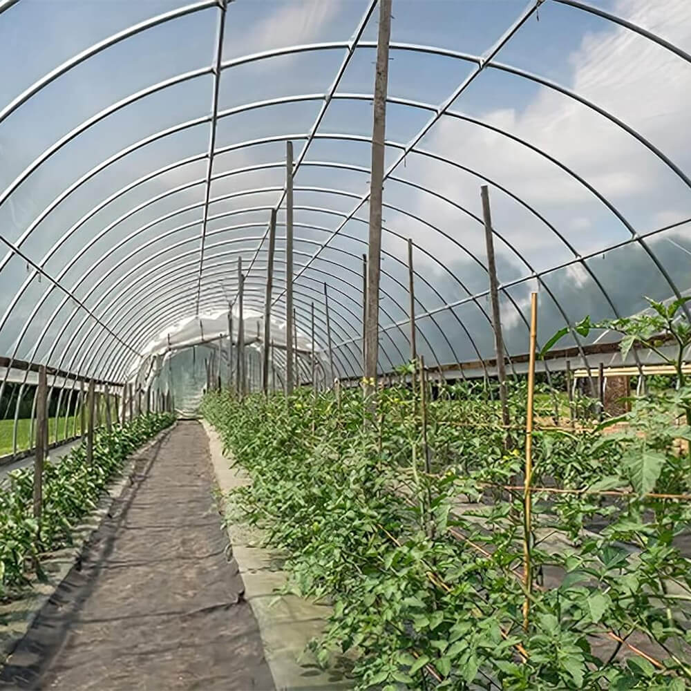 Film en plastique en polyéthylène en plastique