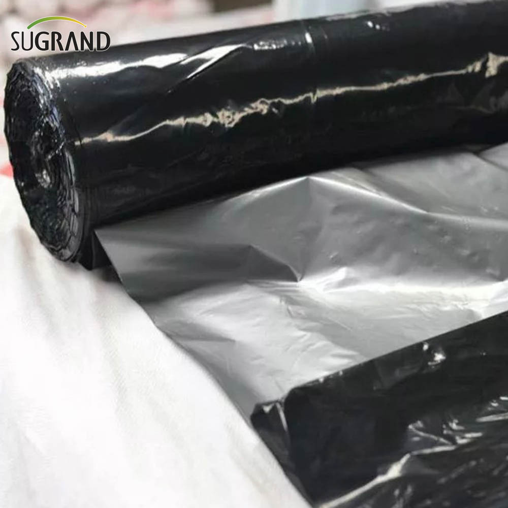 agriculture en plastique de paillis de paillis en plastique Film 