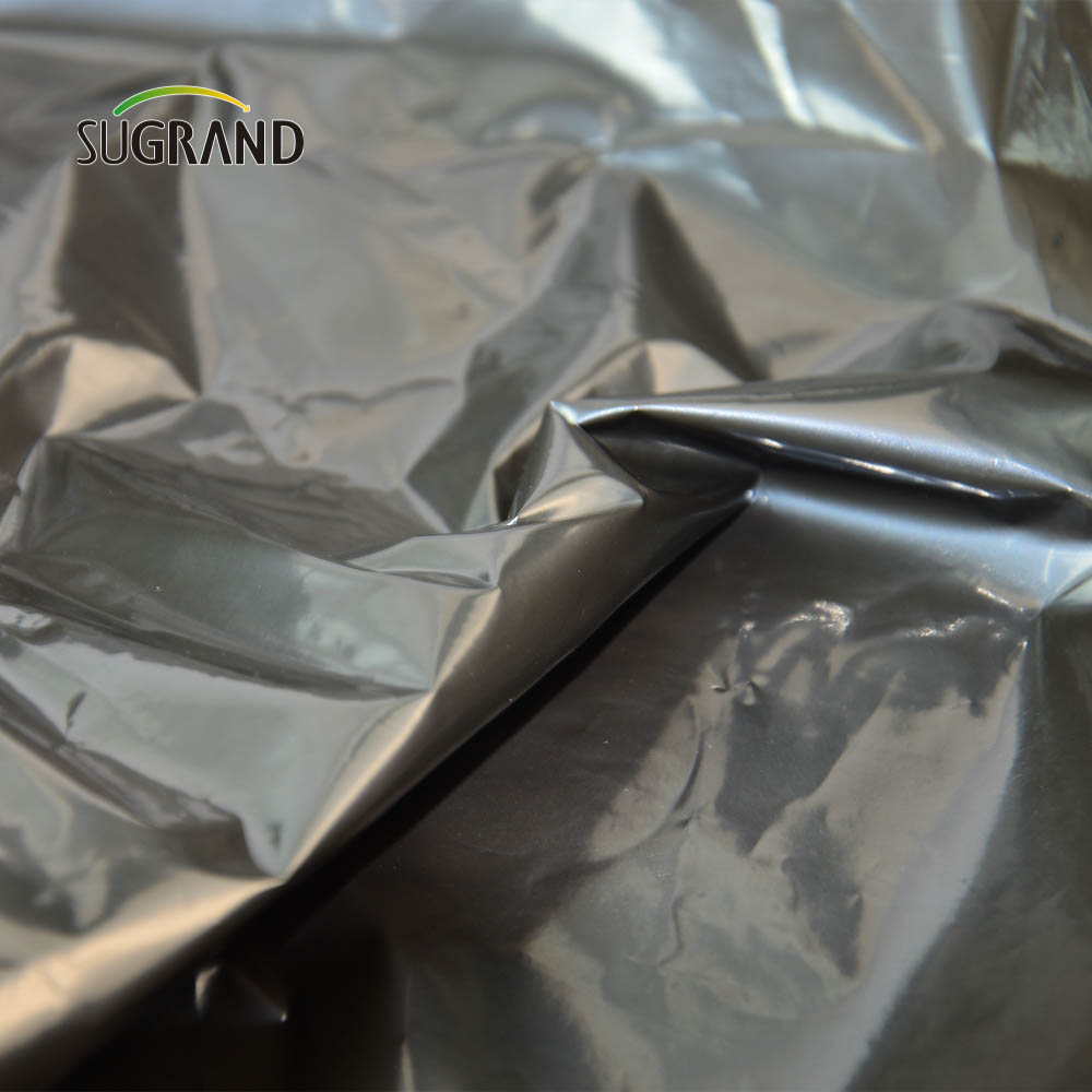 Usine de bonne qualité directement 10 microns - film de paillis biodégradable de 100 microns pour la ferme