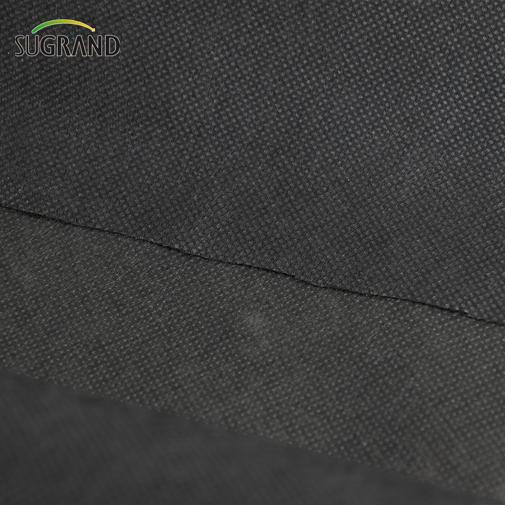 COUVERTURE DE PLANT TEST NON TÉSONNE