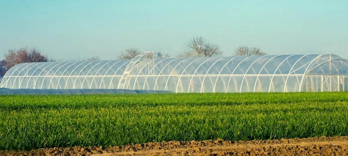 Hefei Grand filets CO., LTD