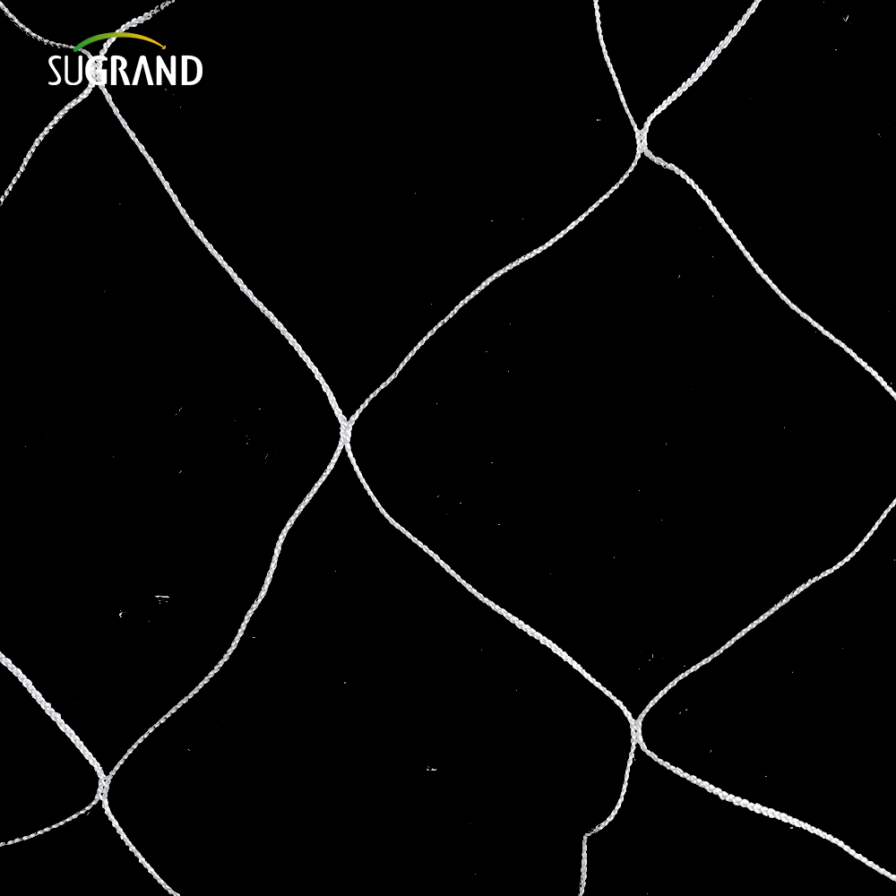 En gros de la plante en nylon blanc de soutien en treillis de treillis 5x15 pieds jardin 6 'Mesh pour l'escalade