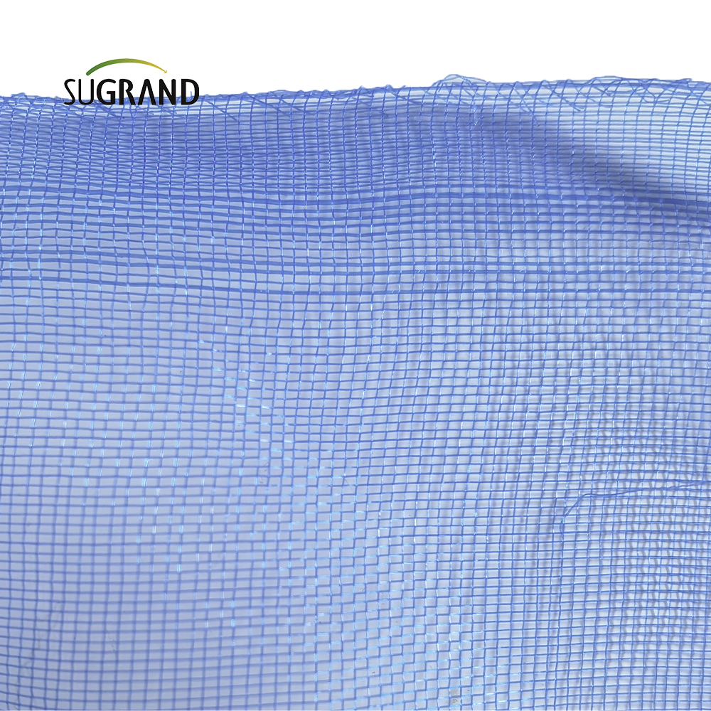 Nigeria Blue Screen Insect Net Mesh pour les fenêtres ou la porte 