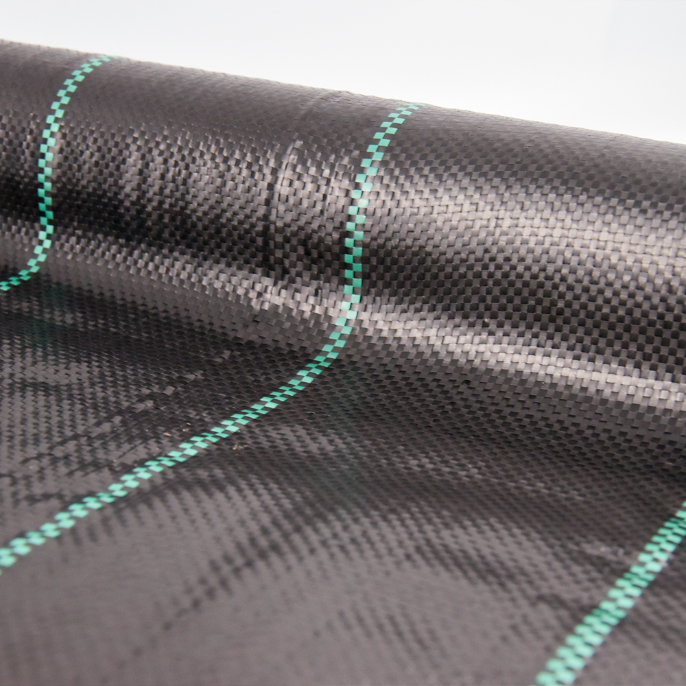 COUVERTURE DE CONTRÔLE DE CONTRÔLE DE LA VERIE 100G / M2 de haute qualité pour la serre